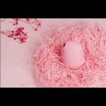 Нежно-розовый вакуум-волновой стимулятор с вибрацией и базой-ночником Cuddly Bird