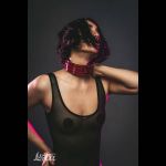 Бордовый ошейник Eccentric
