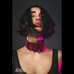 Бордовый ошейник Eccentric