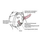 Реалистичный страпон Woman Midi с вагинальной пробкой - 19 см.