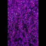 Соль Мёртвого моря для ванны Oriental Crystals «Экзотические фрукты» - 500 гр.