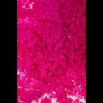 Соль Мёртвого моря для ванны Oriental Crystals «Афродизия» - 500 гр.