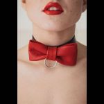 Эффектный красный ошейник-бабочка на черных ремнях
