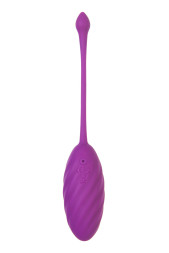 Фиолетовое силиконовое виброяйцо Purr