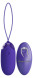 Фиолетовое виброяйцо Berger-Yourth с пультом ДУ